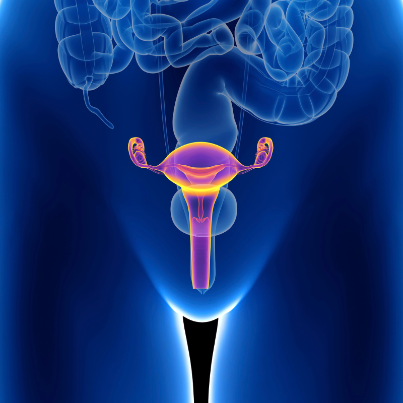 Female Reproductive Health